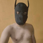 CachorroGT avatar