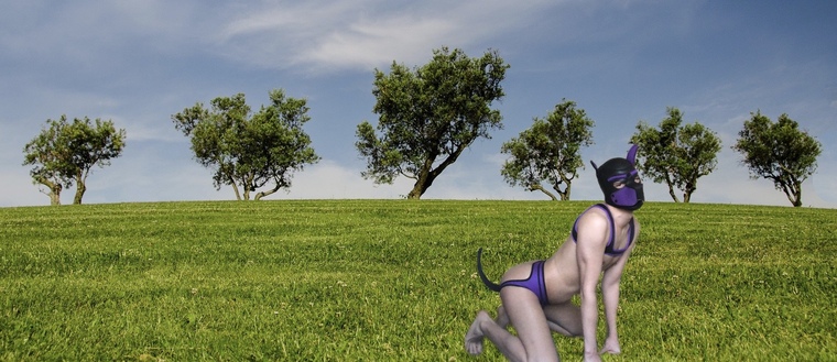 Pup Miles Locked cover image