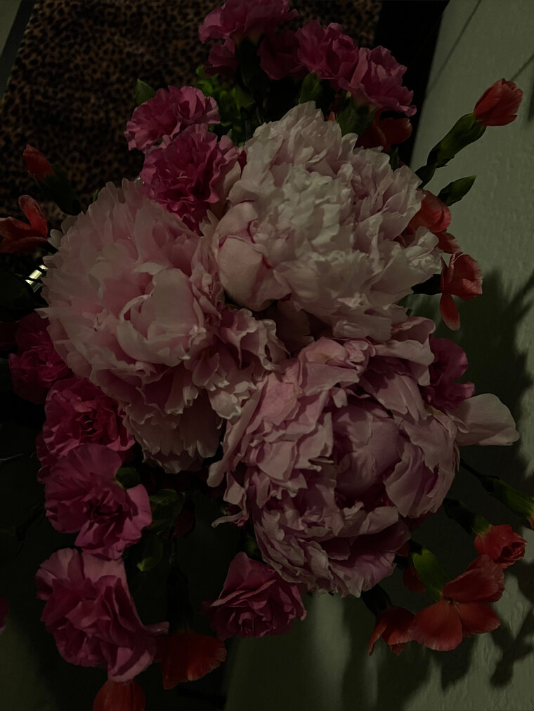 caitlyneavess banner image