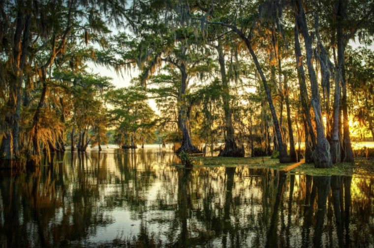 Cajunway banner image