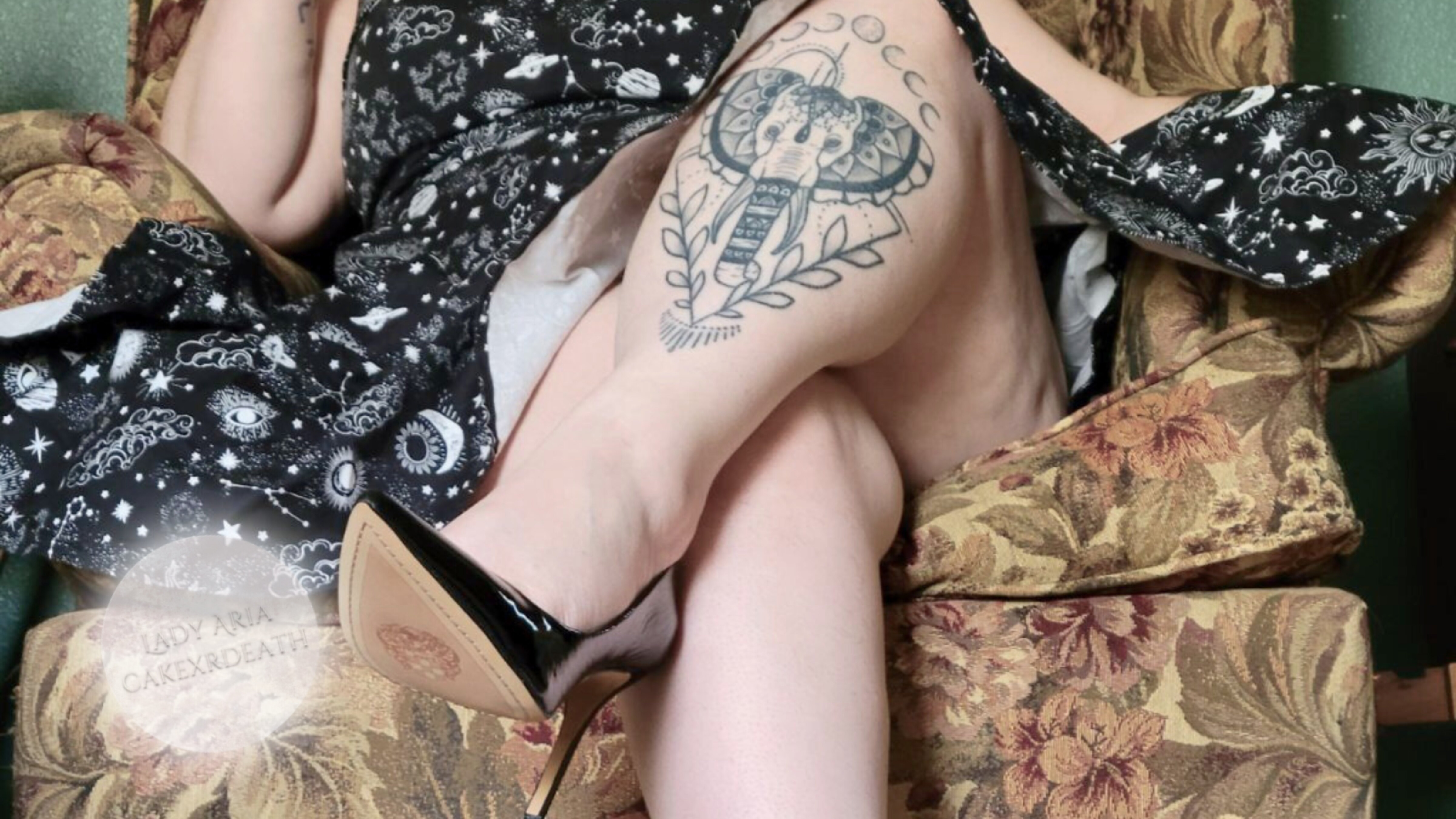Lady Aria Lovelace banner image