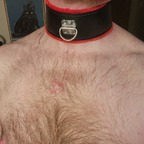 CalicoQueer avatar