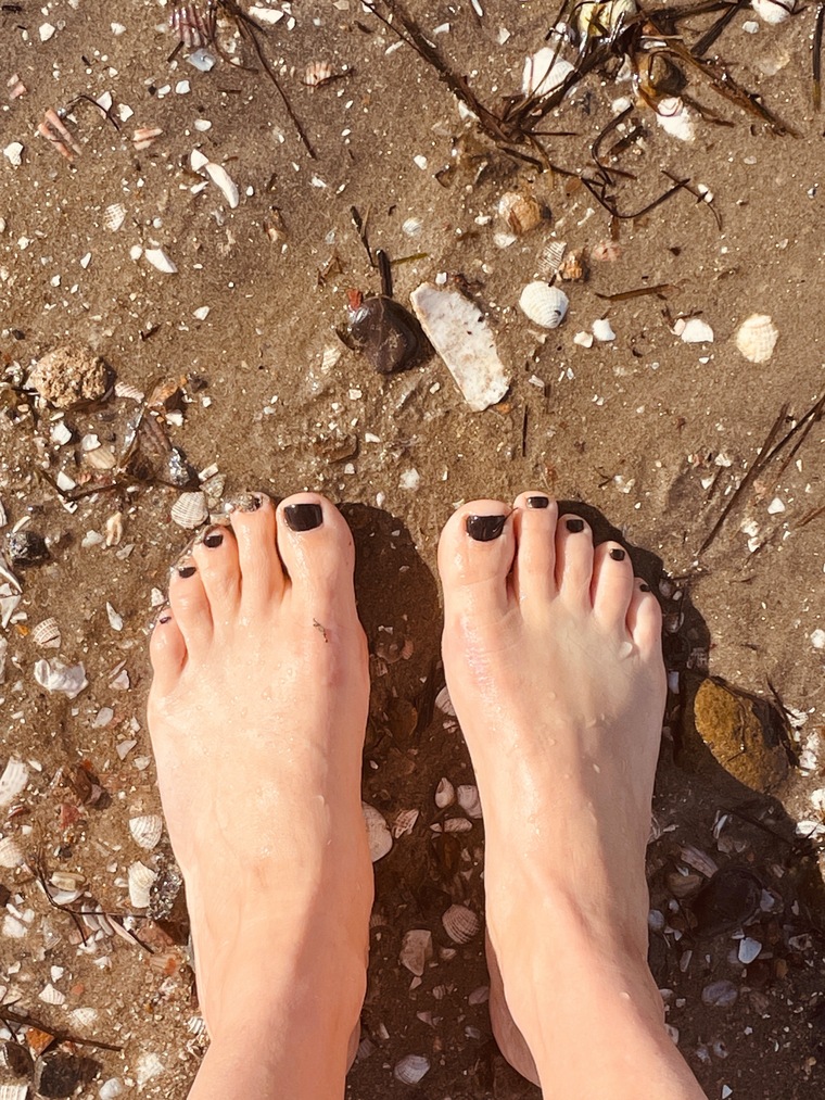 SanDiToes cover image