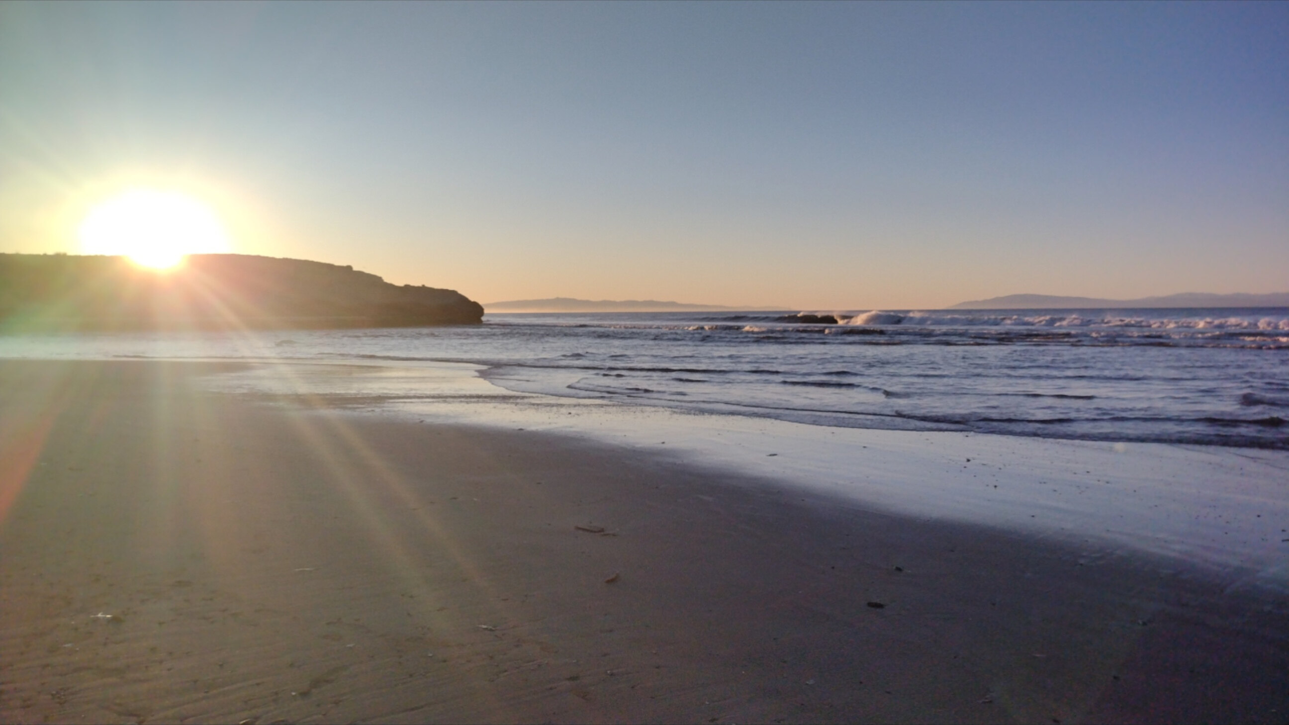 Calie Sunshine banner image