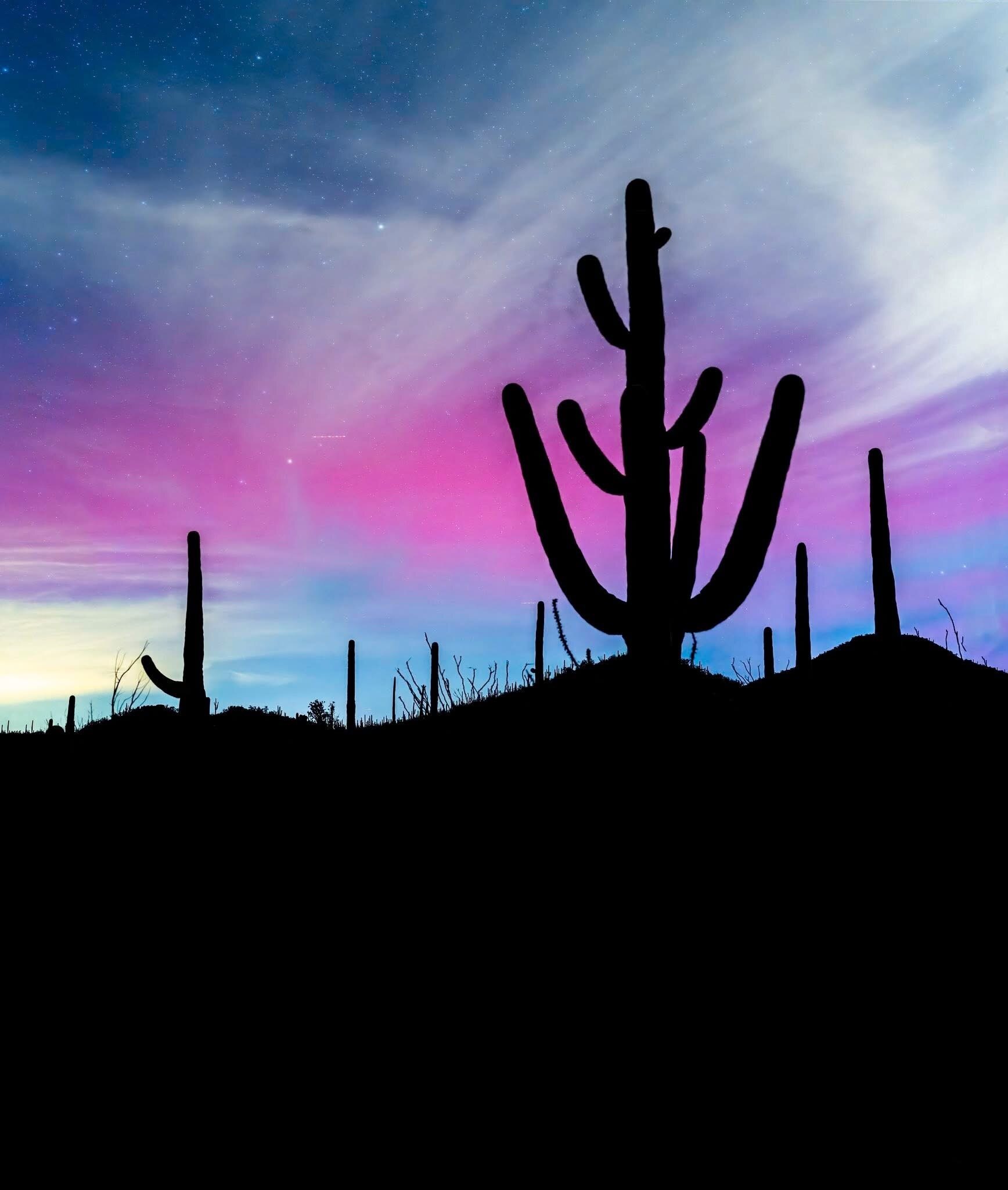 Jimmy Shaffer banner image