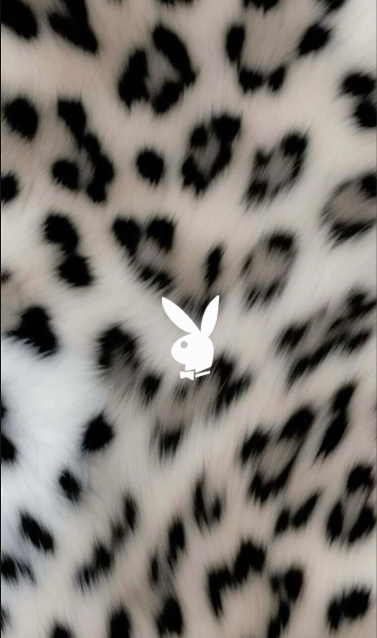 Kitty Cat cover image