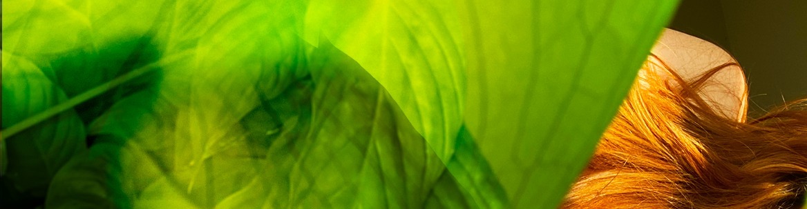 Callie Carter banner image