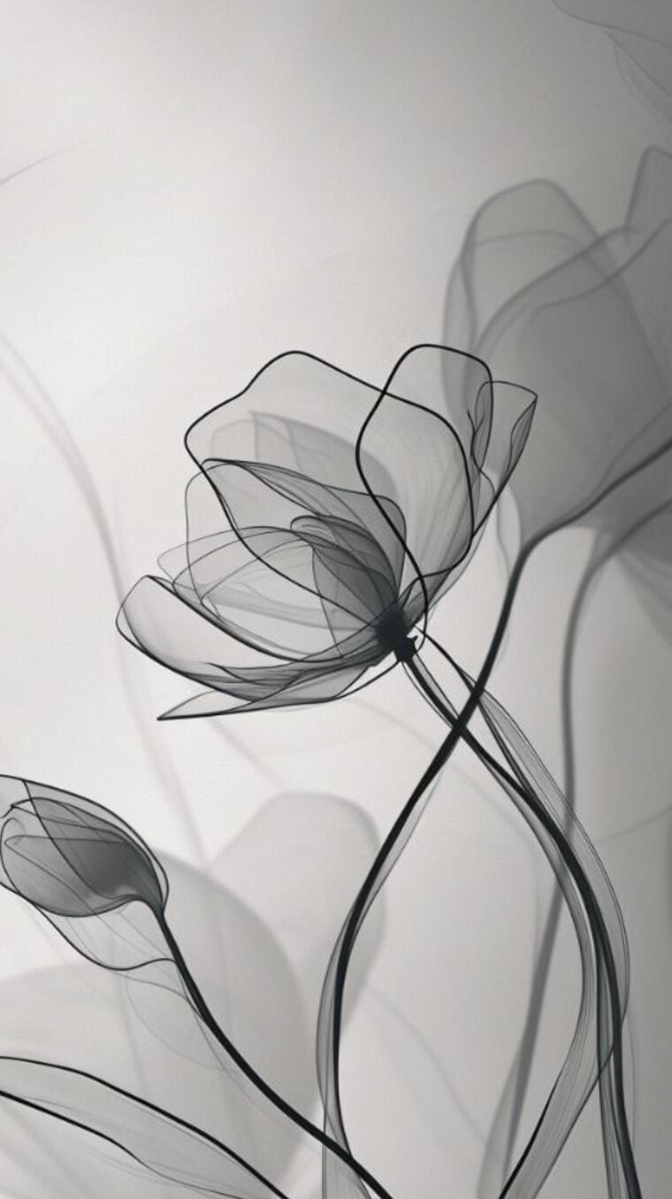 ππππππππ banner image