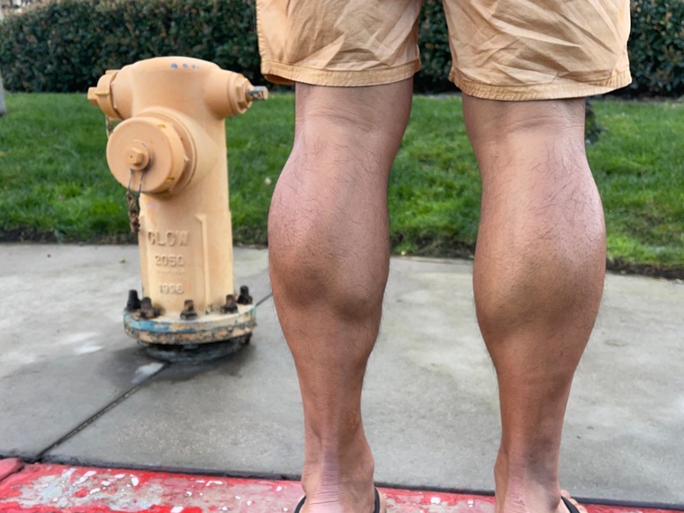 Calves in the Wild cover image