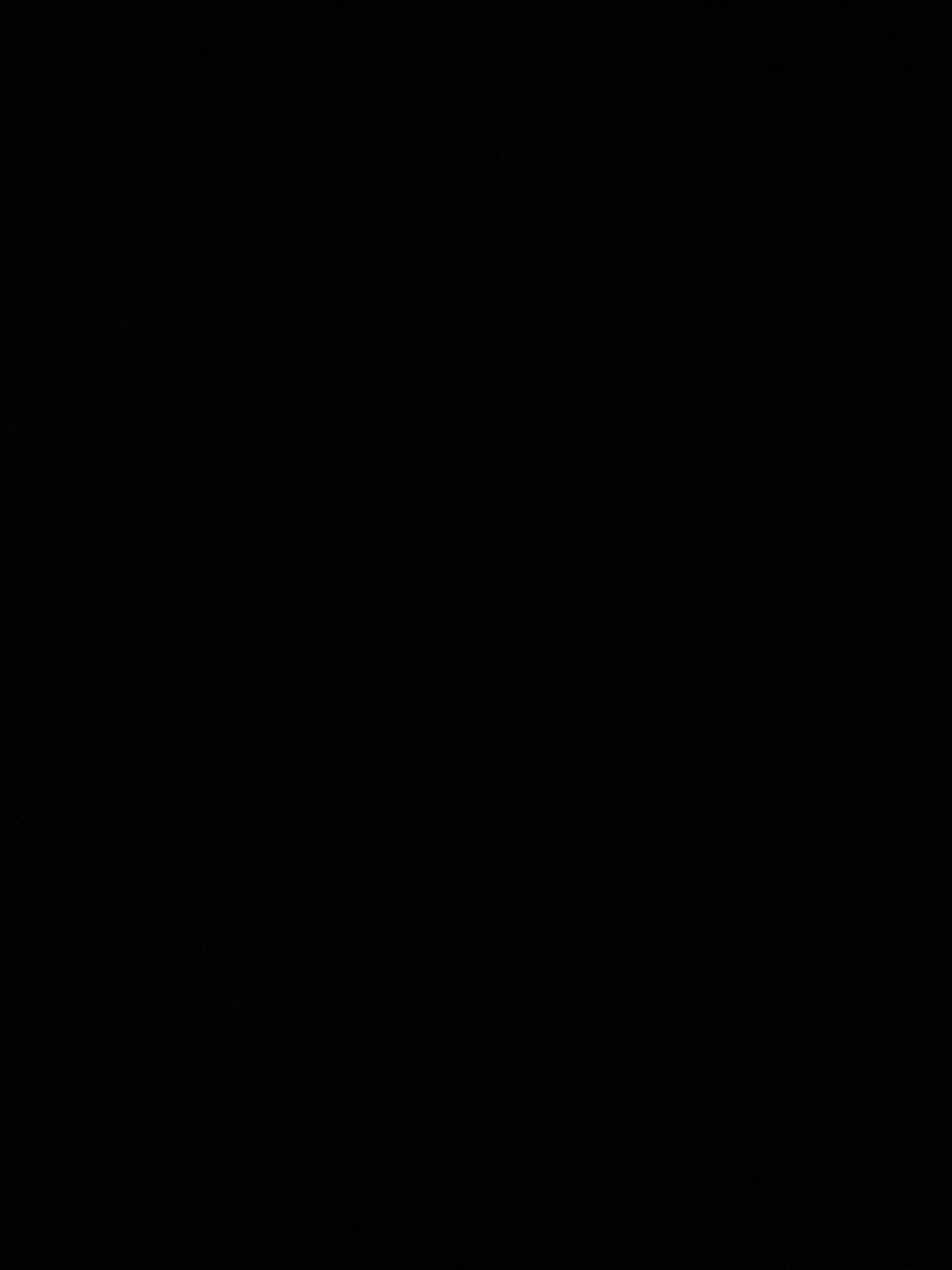 Calvin banner image