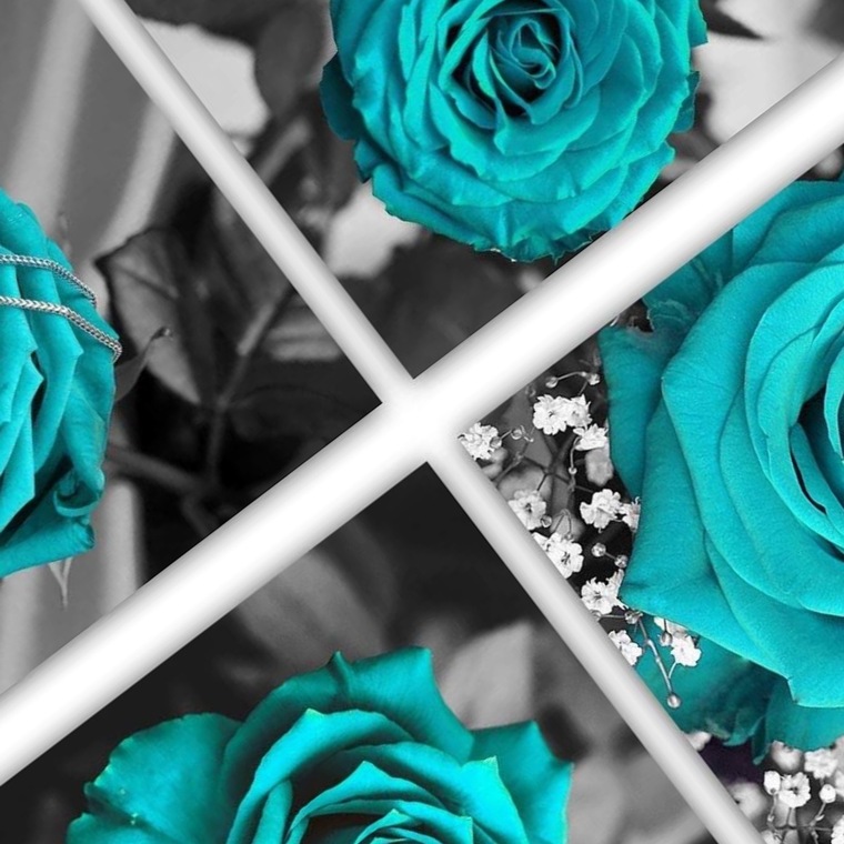 ChameleonMinX banner image