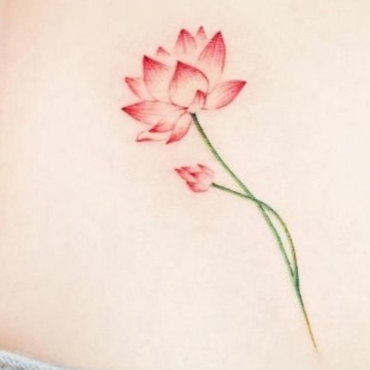 Cami cover image