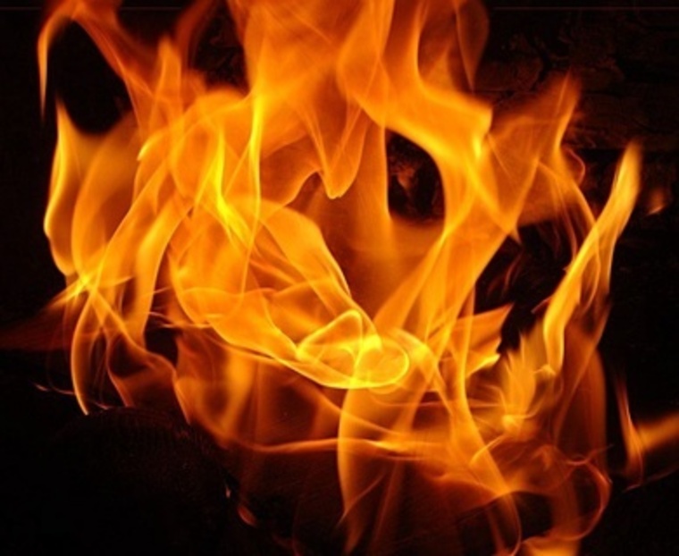 Camil_Devine cover image
