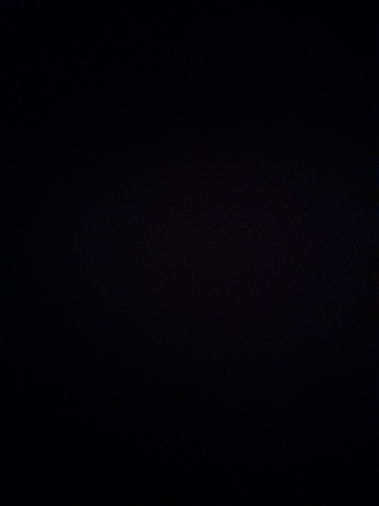 Camila Poveda banner image