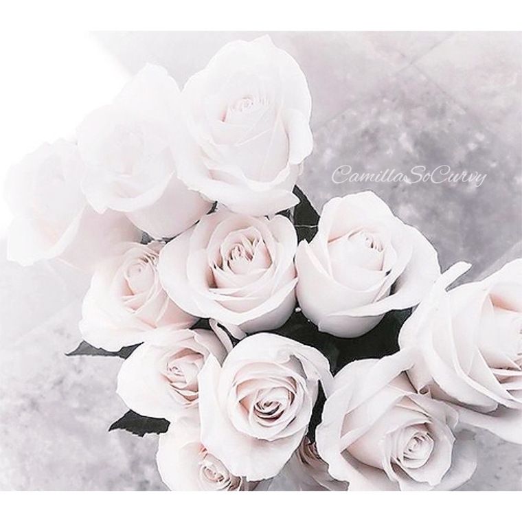 Camilla🕊 cover image