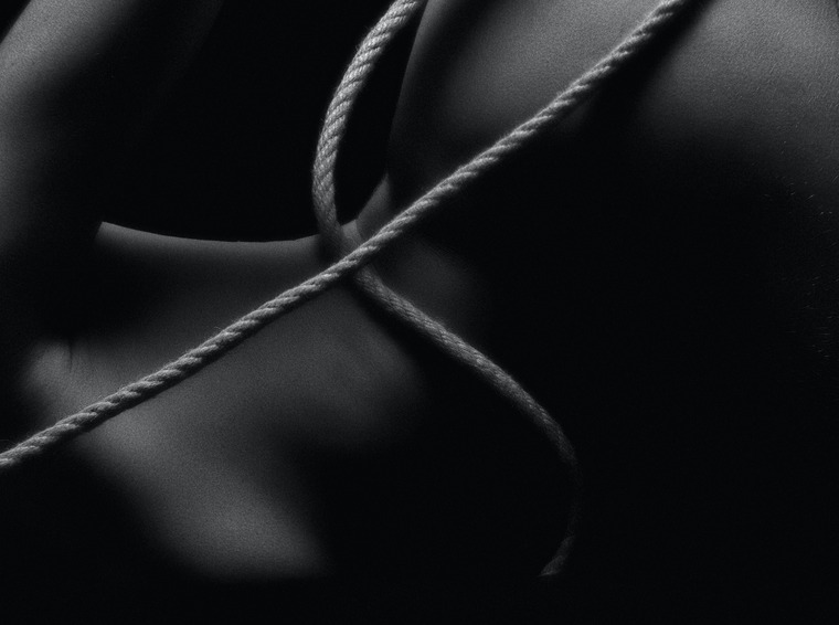CamillaTaylor banner image