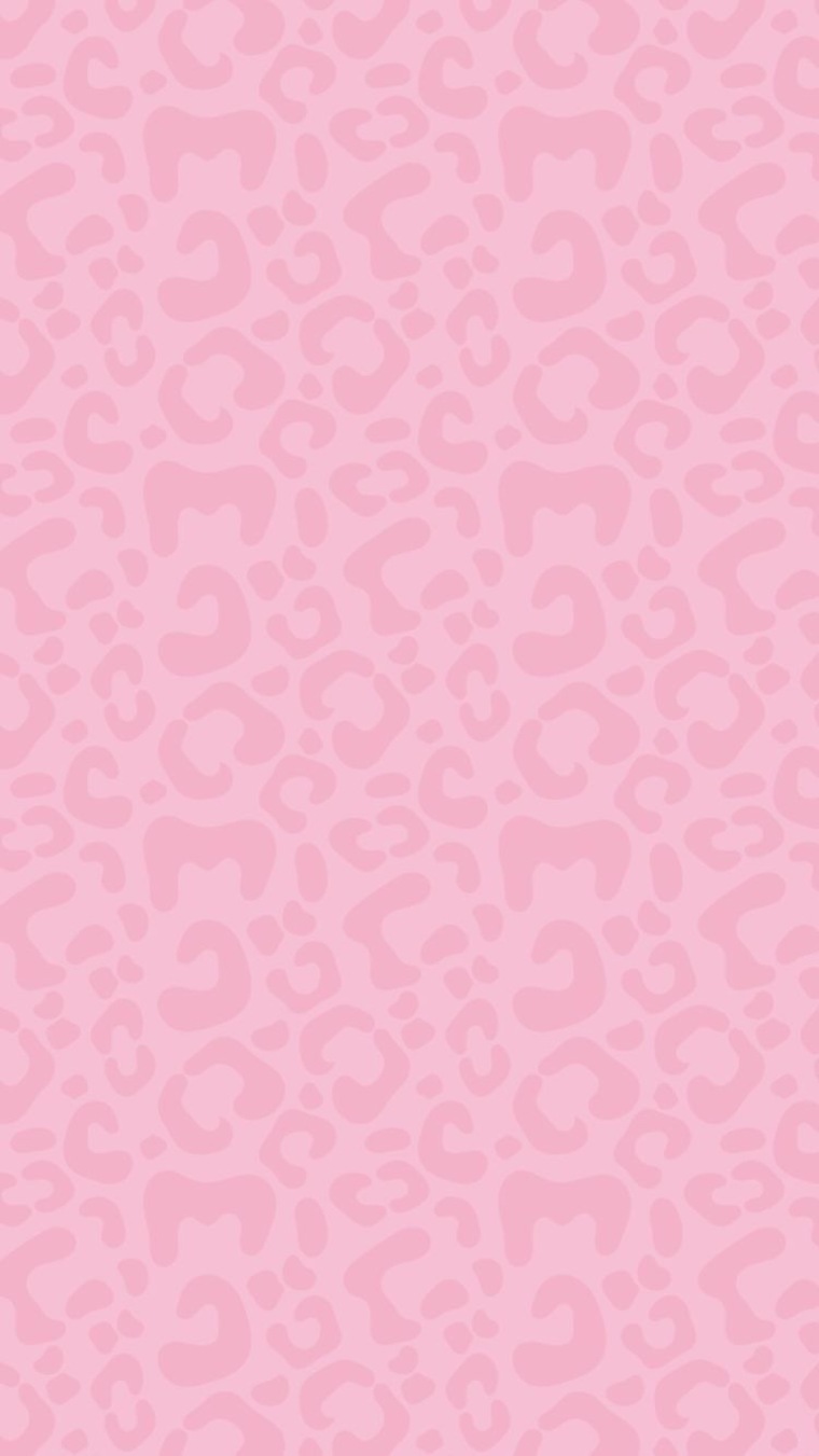 Camm banner image