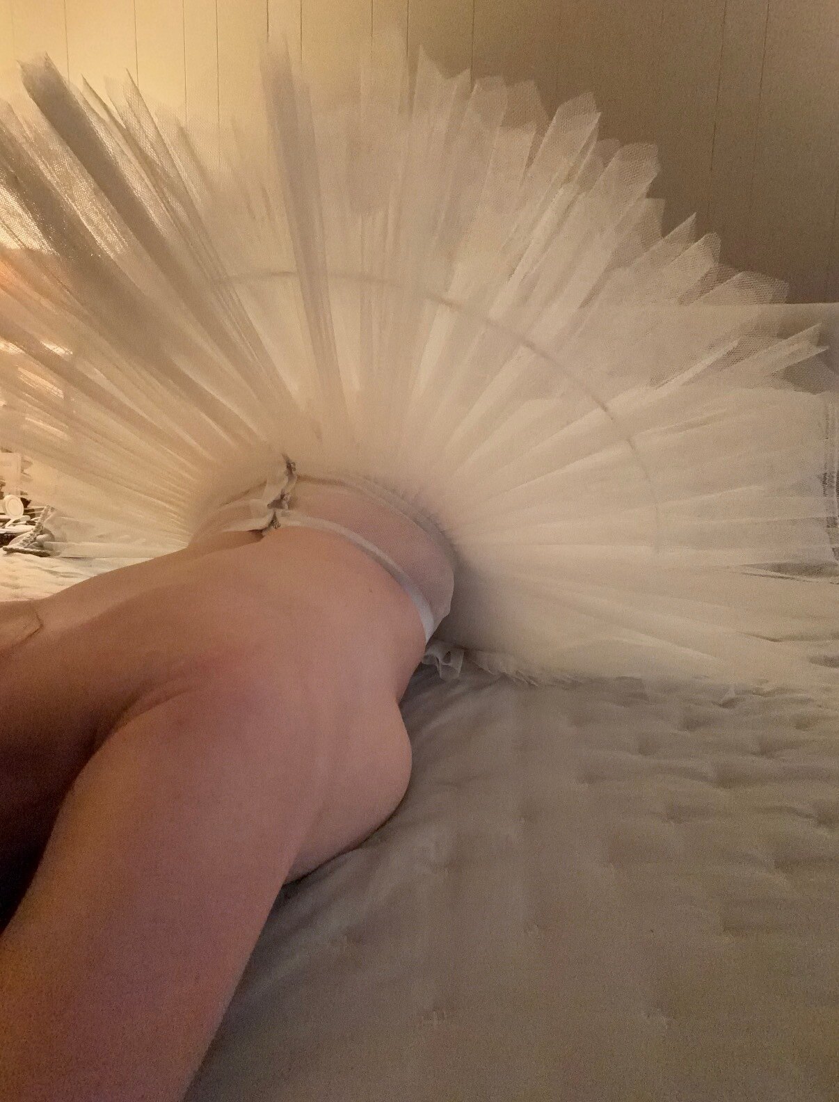 CamilleNaughtyBallerina banner image