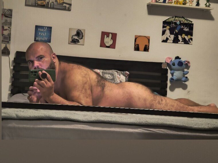 Bear Miro banner image