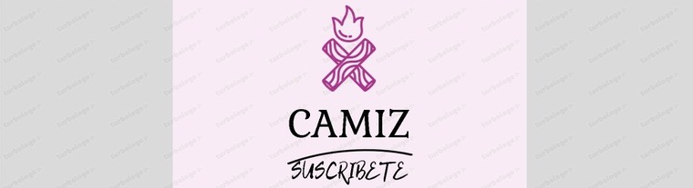CAMIZ cover image