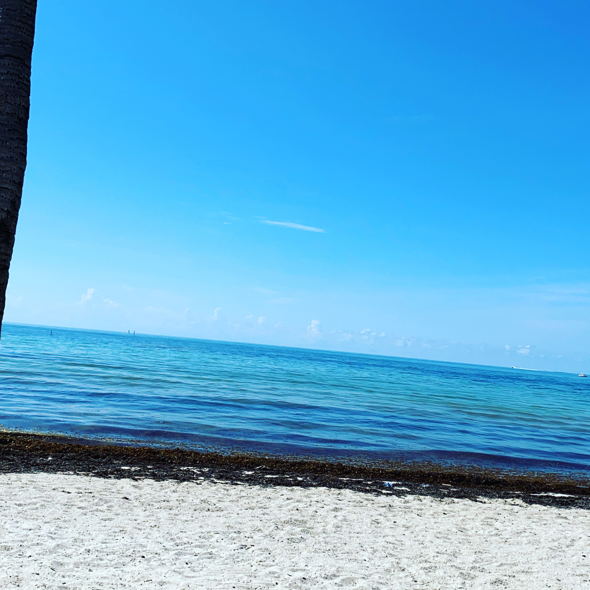 Babe & The Captain Florida living… banner image