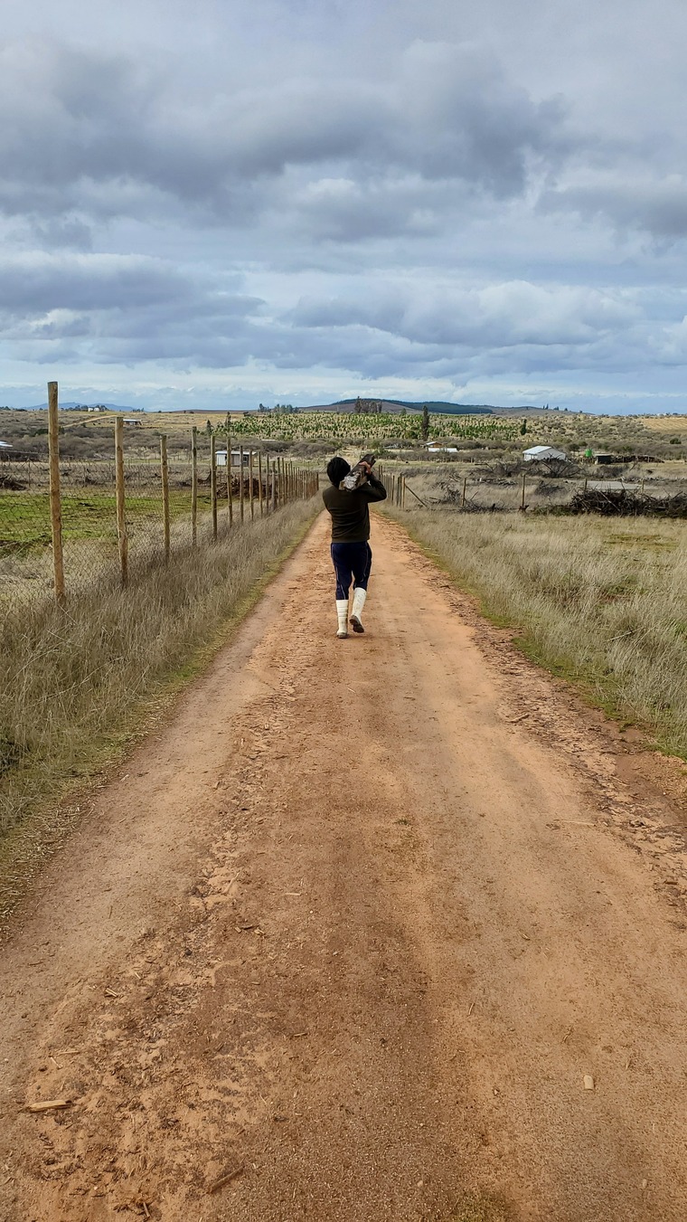Sebastian Carrasco banner image