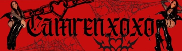 CamMasterFlex VIP cover image