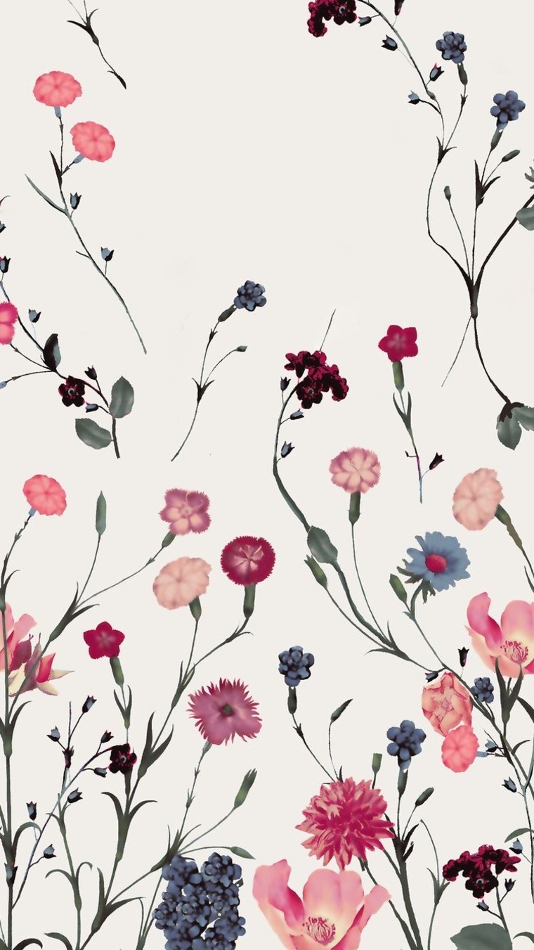 Amy cover image
