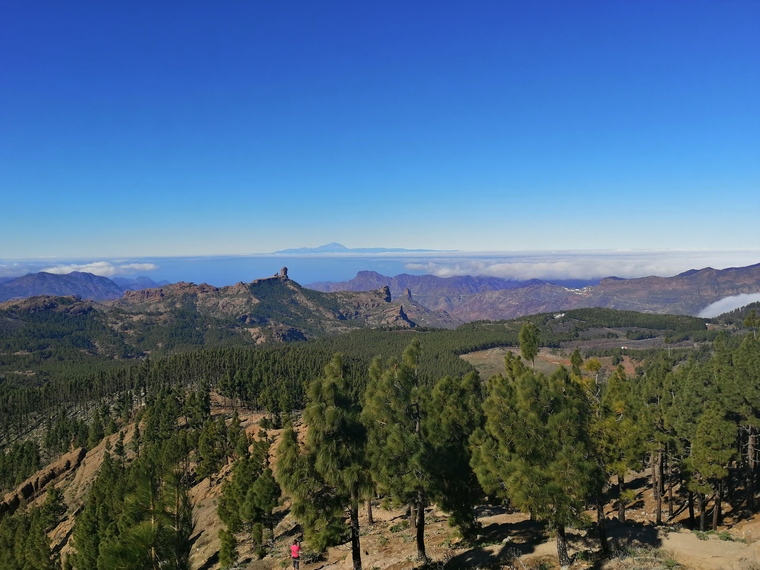 Canaria Guide cover image