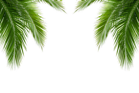 Coco cover image