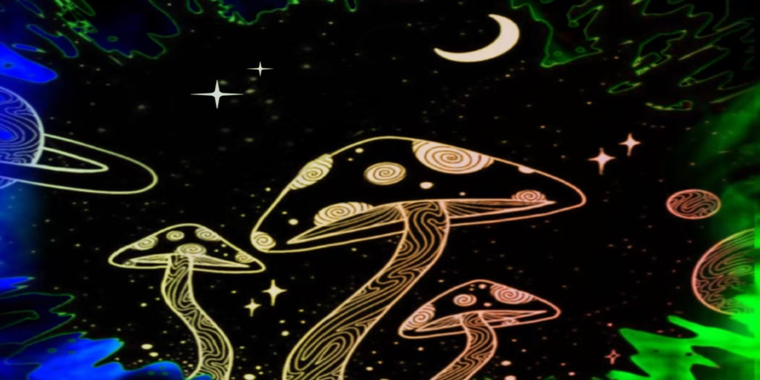 Moon Goddess cover image