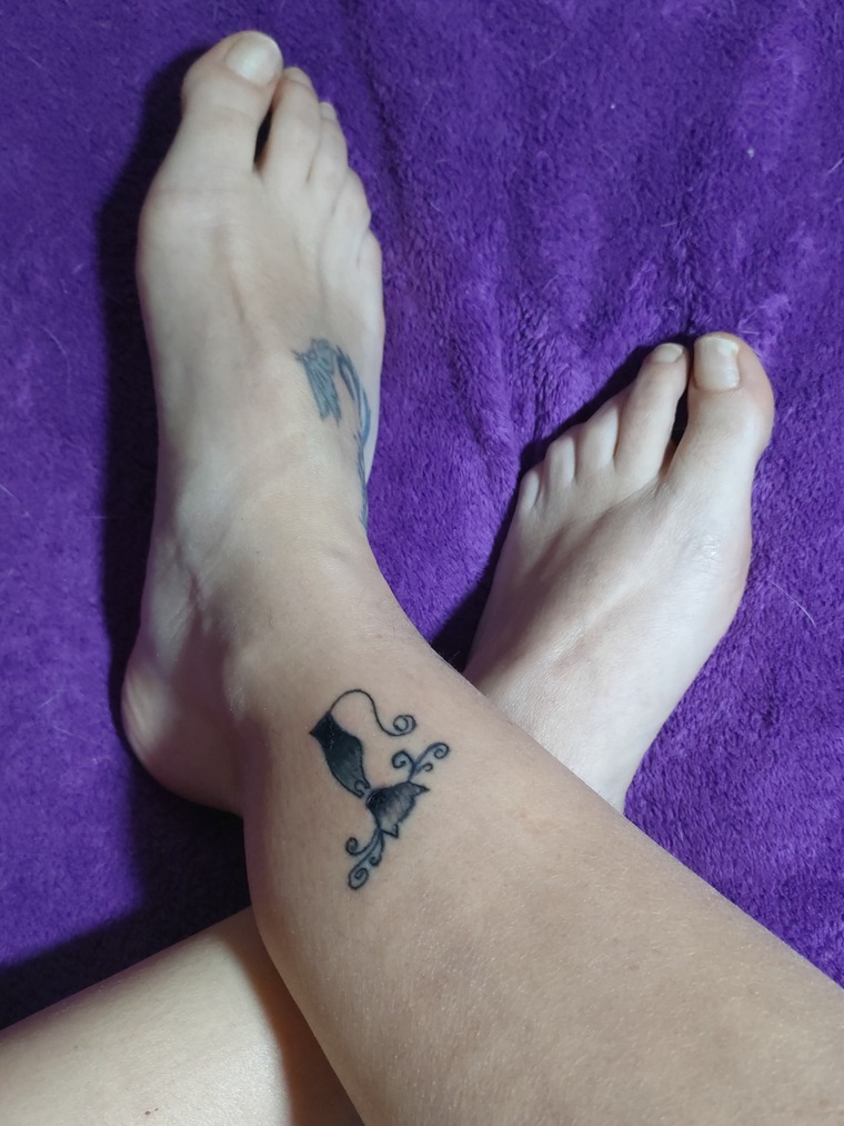 Sweet Feet banner image