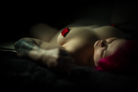 Amy cover image
