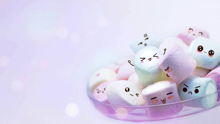 Cat₍^. .^₎⟆ banner image