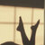 Candyshopmx avatar