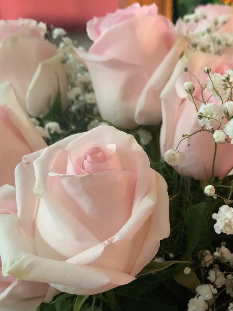 XXX TOES banner image