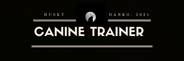 Santiago banner image
