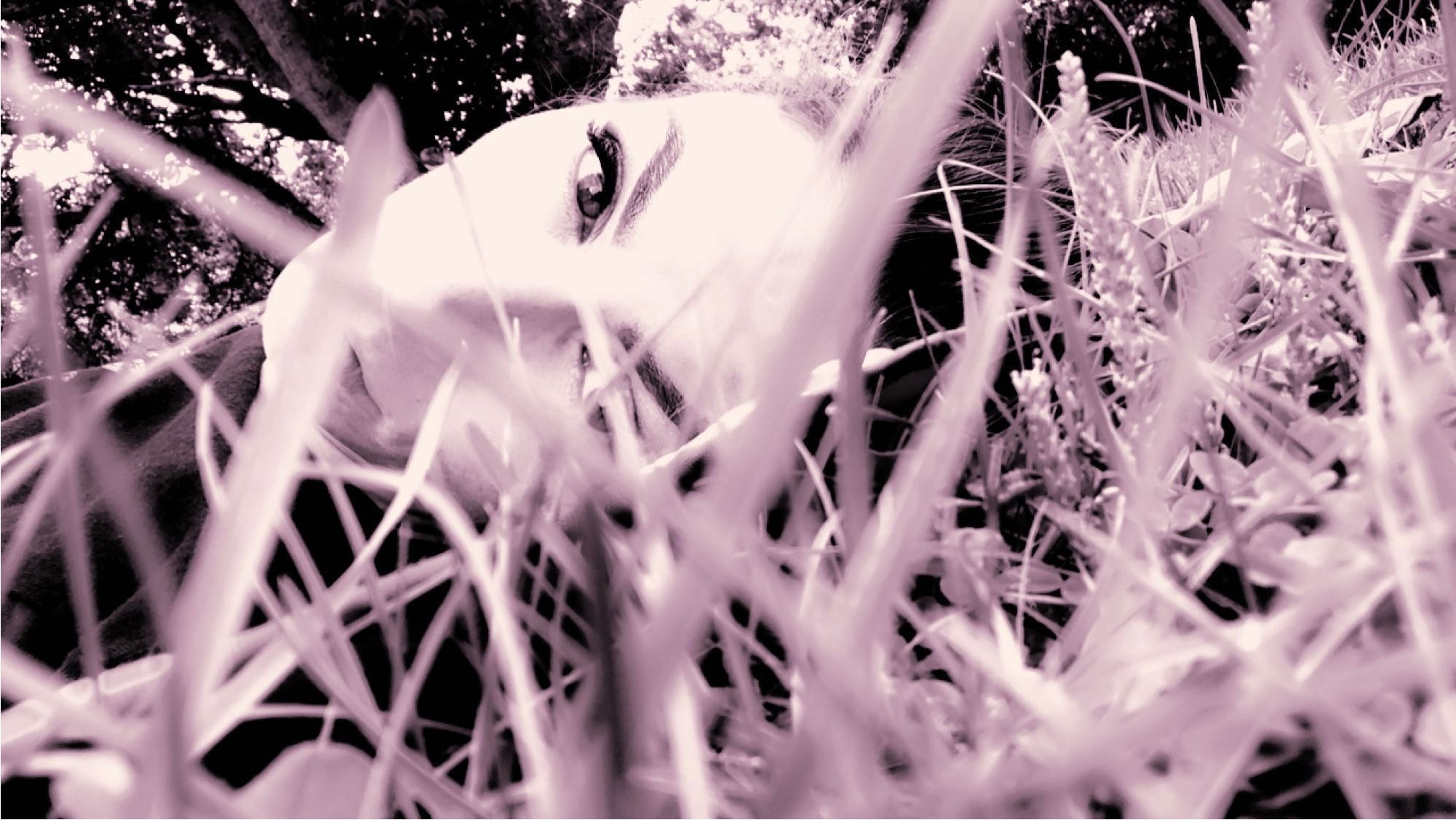 Casey banner image