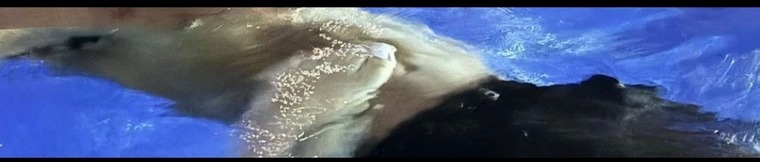 Caramelnchocolates banner image