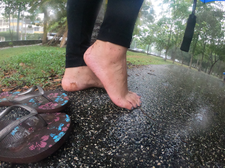 Caribbean Feet MH cover image