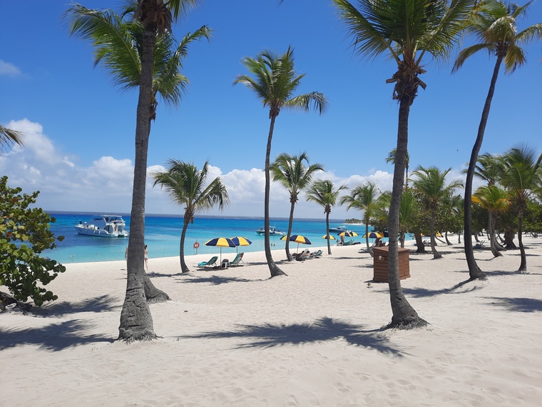 caribbean guapo cover image