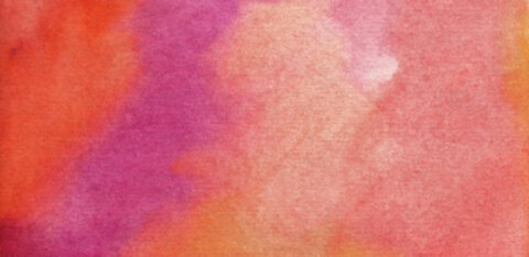 Carina Denai cover image