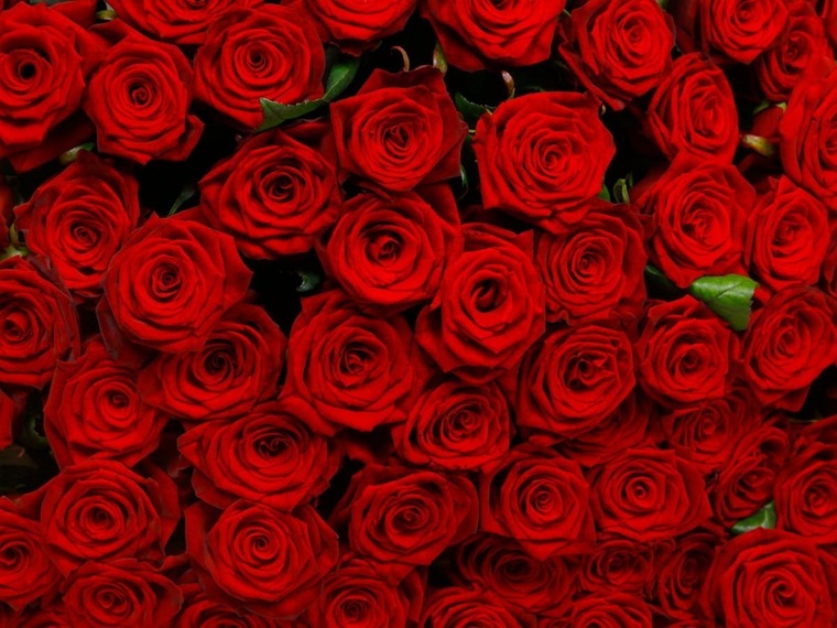 Andy García cover image