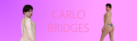 Carlo Bridges cover image