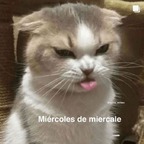 Patrondelmal avatar