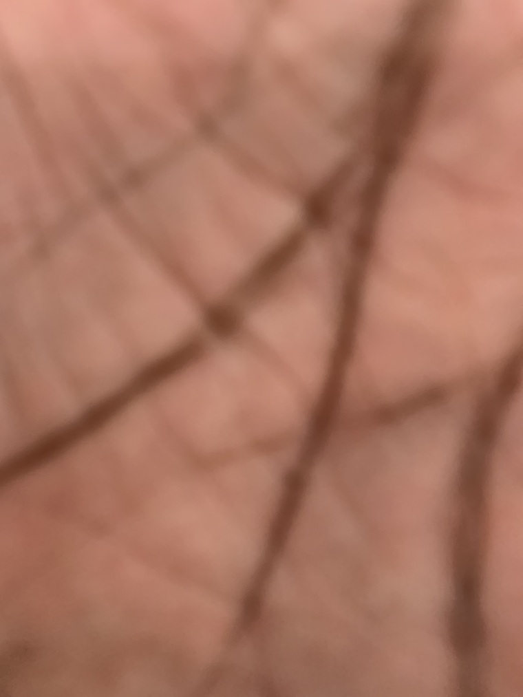 Carlos cover image
