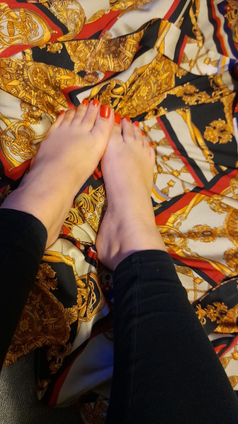 CarolsSecret🦋 banner image