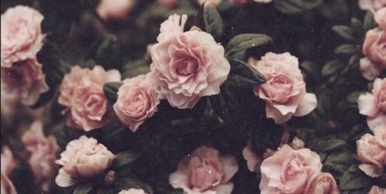 caroline_kxo cover image