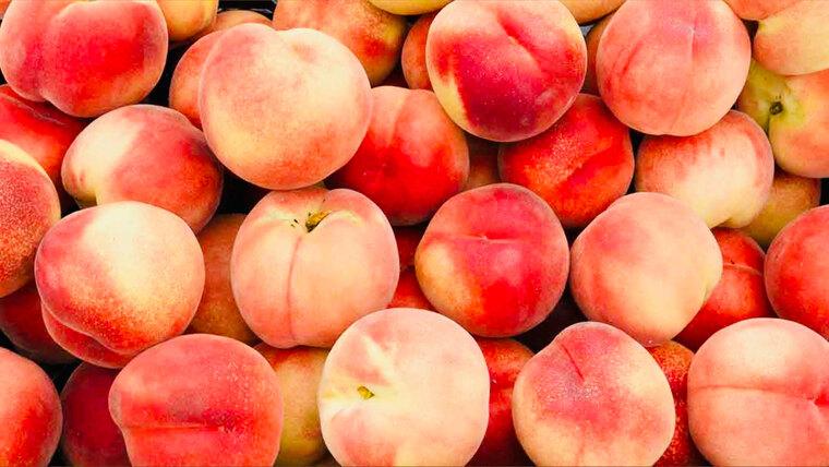 Caroline Peach 🍑 cover image