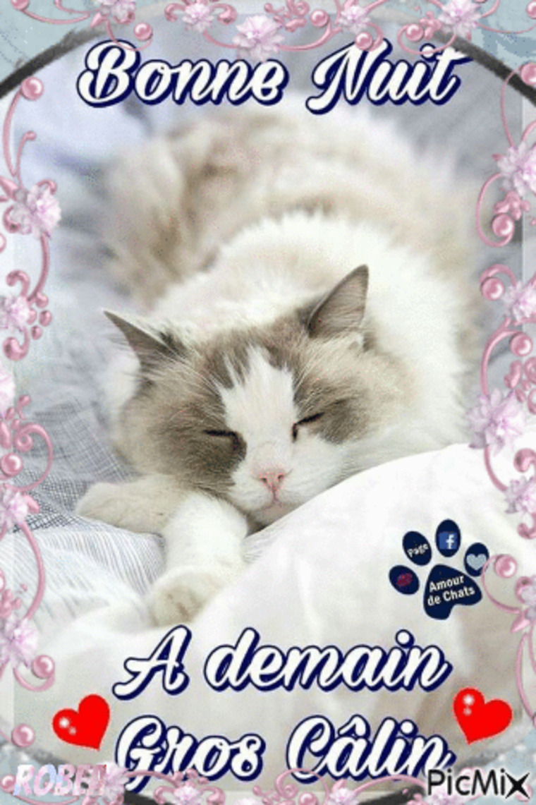 Caronurse cover image